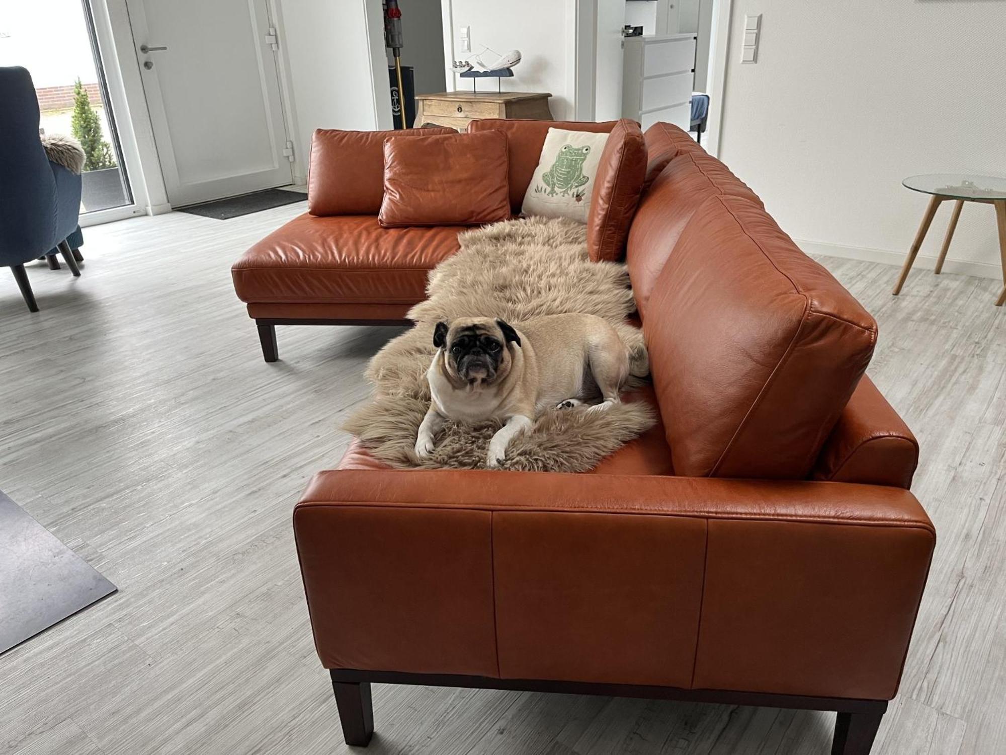 Ferienwohnung Nr 5 Wunstorf Buitenkant foto